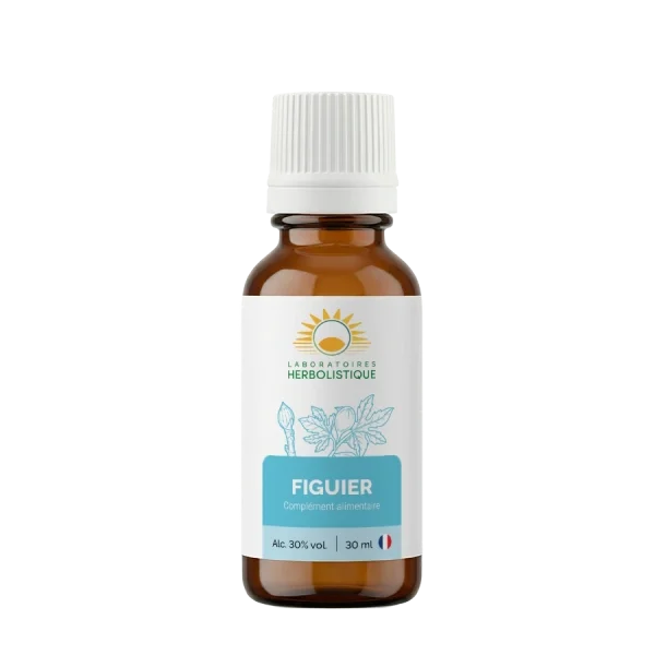 Figuier 30 ml, a gemmotherapy product made by Herbolistique for Cyprus