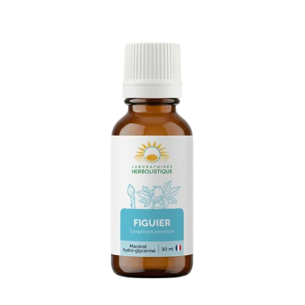Figuier 30 ml, a gemmotherapy product made by Herbolistique for Cyprus alcohol free