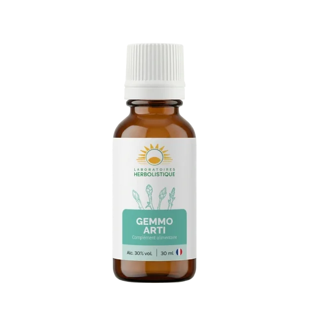 Gemmo Arti 30 ml, a gemmotherapy product made by Herbolistique for Cyprus